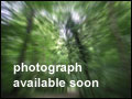 click to view property