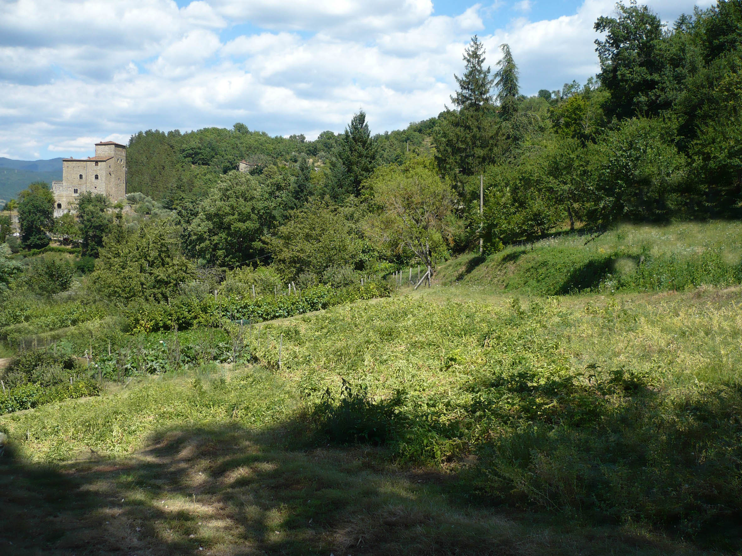 Click to view more information about this plot of land