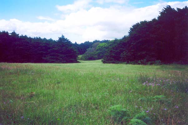 Click to view more information about this plot of land
