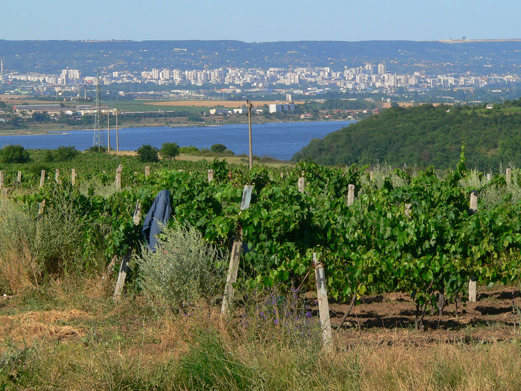 Click to view more information about this plot of land